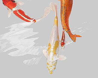 Team17 宣布以 7500 万欧元 收购 Astragon工作室